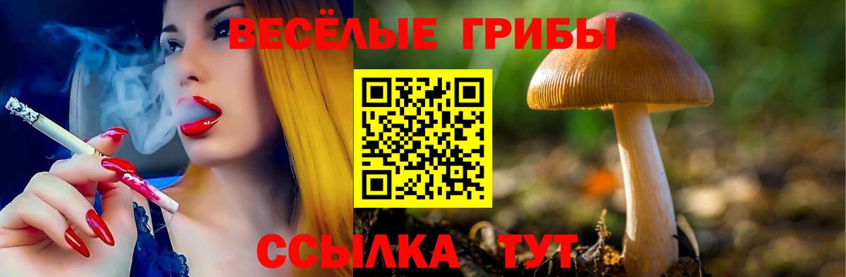 Псилоцибиновые грибы Cubensis  Вход с VPN  купить наркотик  Верхняя Салда 